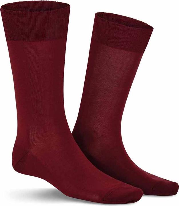 Merlot