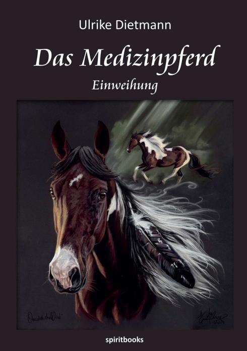 Produktbild Das Medizinpferd (Deutsch, Ulrike Dietmann, 2012)
