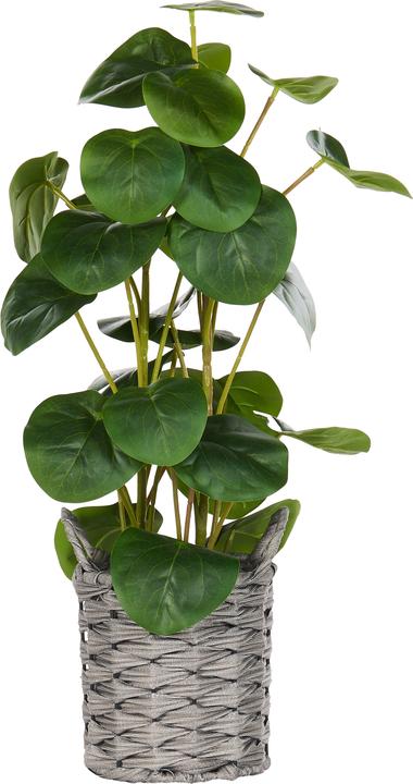 Immagine prodotto Beliani Kibeti (55 cm)