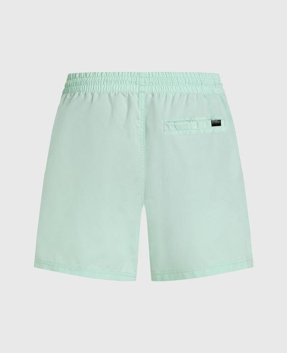 Actual product image O'Neill CALI 16" SWIMSHORTS (S)