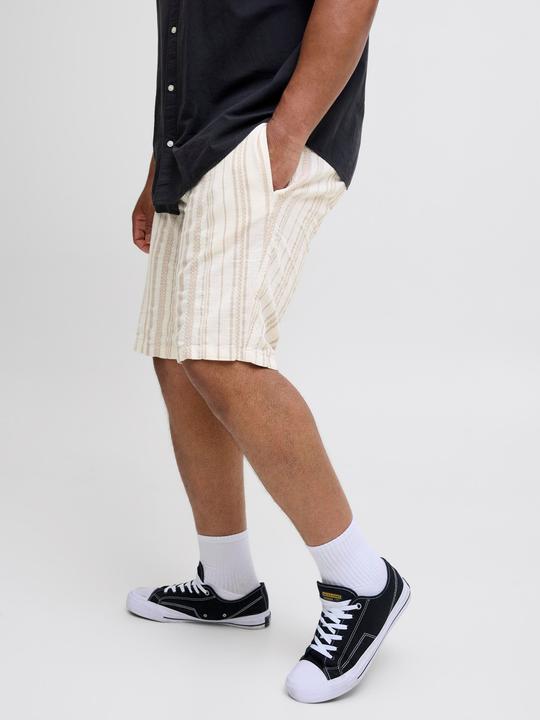 Produktbild Jack & Jones Plus Size Relaxed Fit Relaxed Fit Shorts Relaxed Fit Shorts (48)