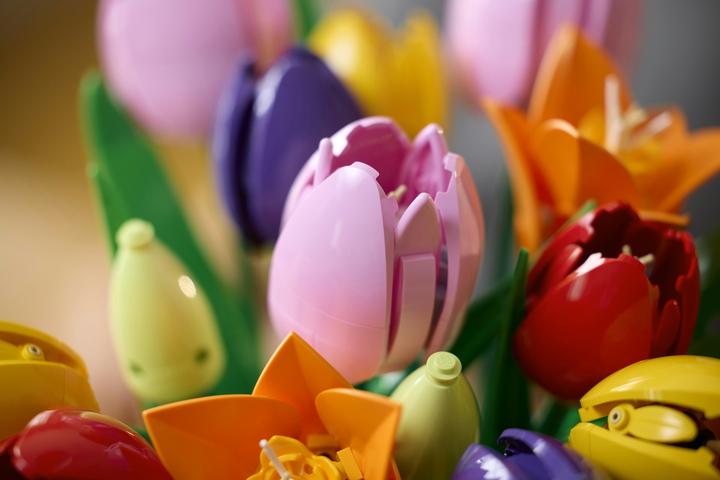 Image du produit LEGO Tulpenstrauss (11501, LEGO Botanical)