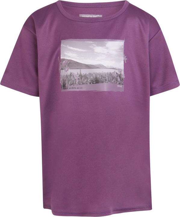 Violet evening light