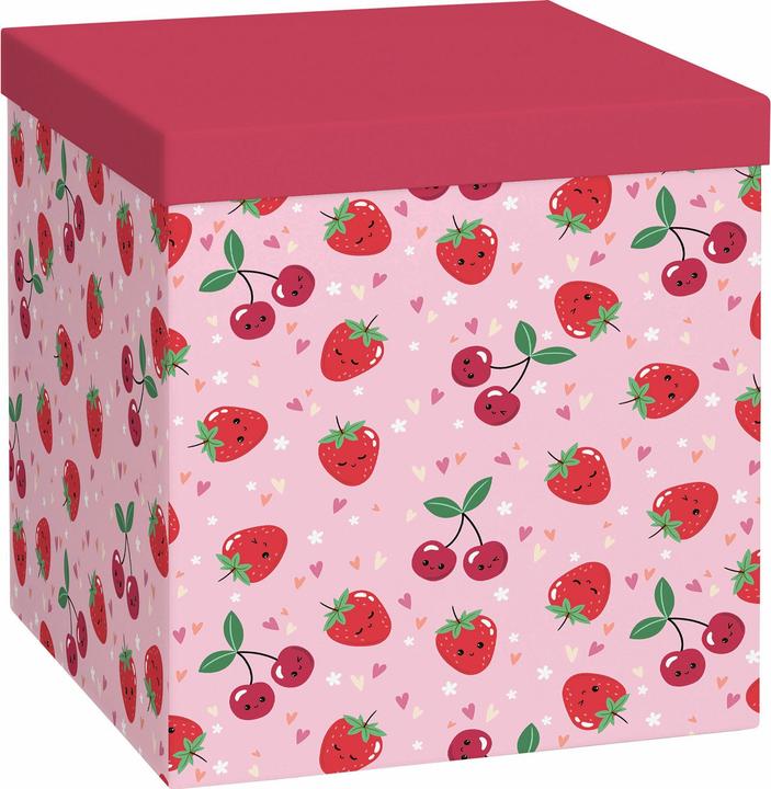 Immagine prodotto Stewo Geschenkbox (1x)
