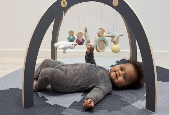 Image du produit Sebra Baby gym