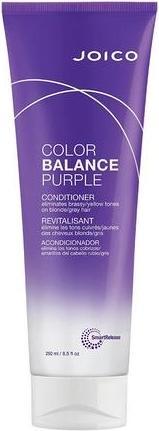 Joico Conditioner for Blonde and Gray Hair Color Balance (Purple Conditioner)