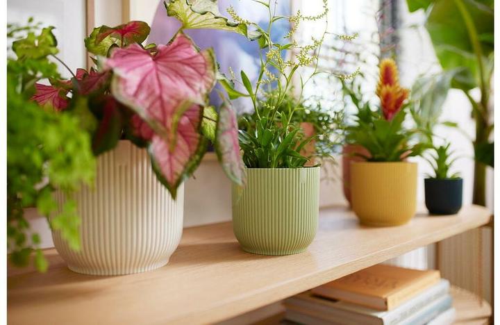 Actual product image Elho Vibes Fold Round Mini (7 x 6.50 cm)