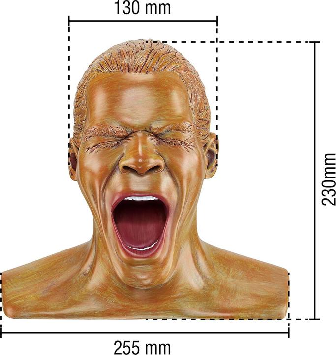 Actual product image Oehlbach Headphone stand Scream