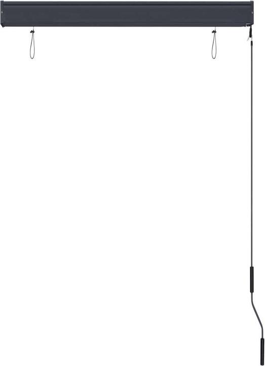 Produktbild vidaXL Aussenrollo (100 x 250 cm)