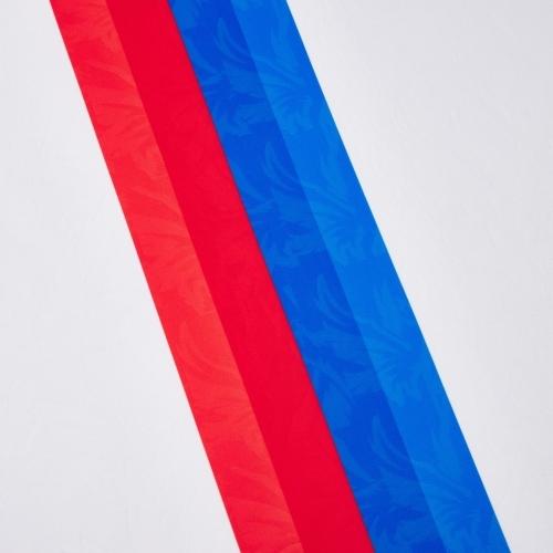 Image du produit Macron Maillot Extérieur Crystal Palace 2025/26 (S)