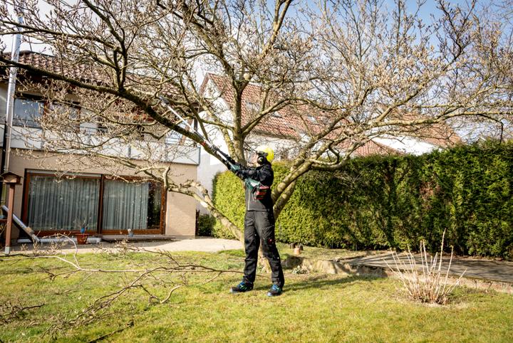 Productafbeelding Metabo MA-MS 25 (Accu kettingzaag)