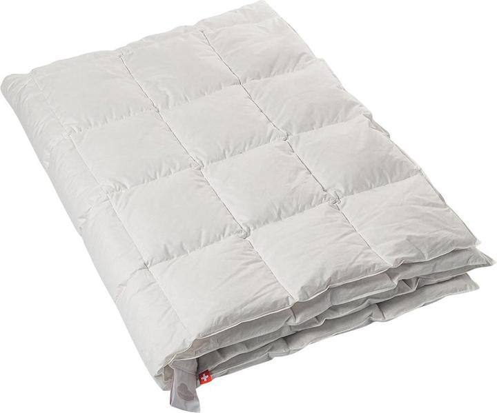 Image du produit Duvetsuisse Light Duck Basic (470 g, Duvet, 150 x 210 cm)