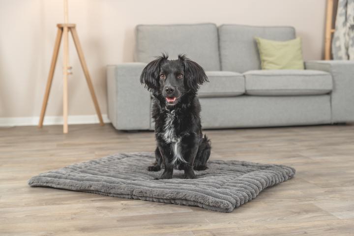 Actual product image Trixie Liegematte Lonni Rib Samt Grau (Cat, Dog)