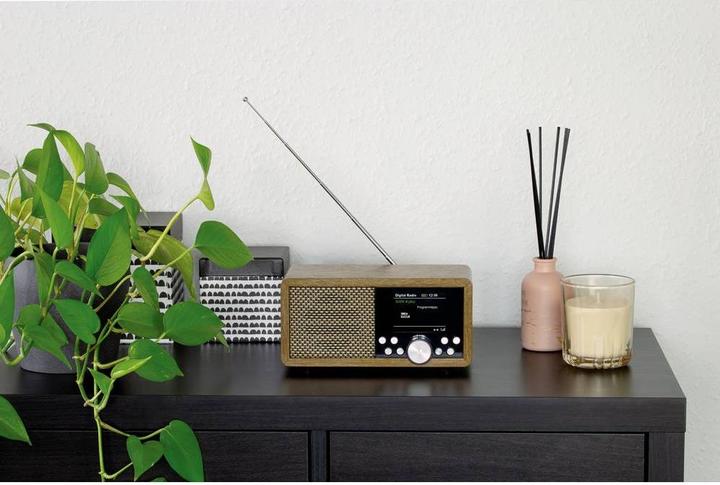 Actual product image Dynavox World receiver DAB+, FM, DAB DAB+, Bluetooth®, SD, USB Brown (DAB+, DAB, FM, Bluetooth)