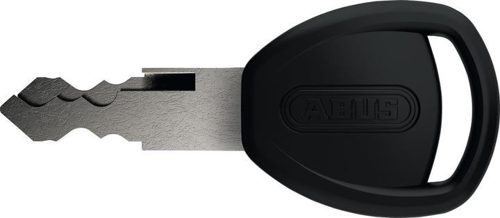 Immagine prodotto Abus Catena 6806 (110 cm)