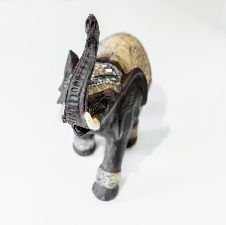 Produktbild Pajoma Indie