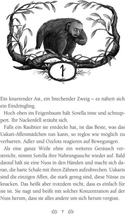 Image du produit Caldera 2: Die Rückkehr der Schattenwandler (Allemand, Eliot Schrefer, Emilia Dziubak, 2019)