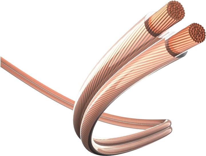 Actual product image Inakustik Star (10 m, 2.50 mm²)