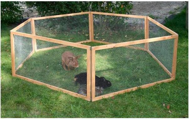 Actual product image Kerbl Vario outdoor enclosure