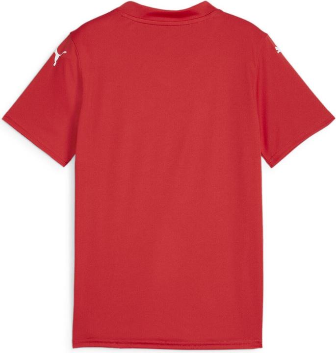 Image du produit Puma teamGLORY Jersey Jr (140)