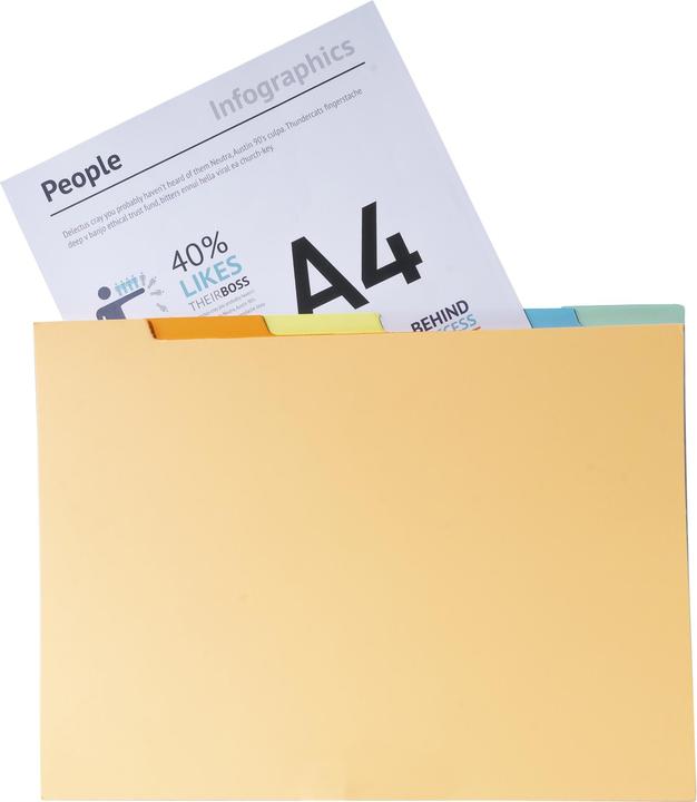 Produktbild Exacompta Verzeichnis mit Unterteilungen für Sammelmappe A4 (A4, 10x)