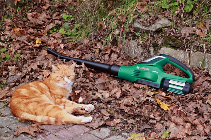 Produktbild Bosch Home & Garden ALB 36 LI (ohne Akku) (Akkubetrieb, Laubsauger)