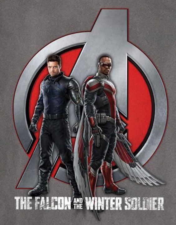 Image du produit T-shirt unisexe adulte Falcon & Winter Soldier Logo (M)