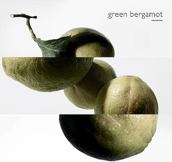 Actual product image Hermès Terre D'hermes (Eau de parfum, 100 ml)