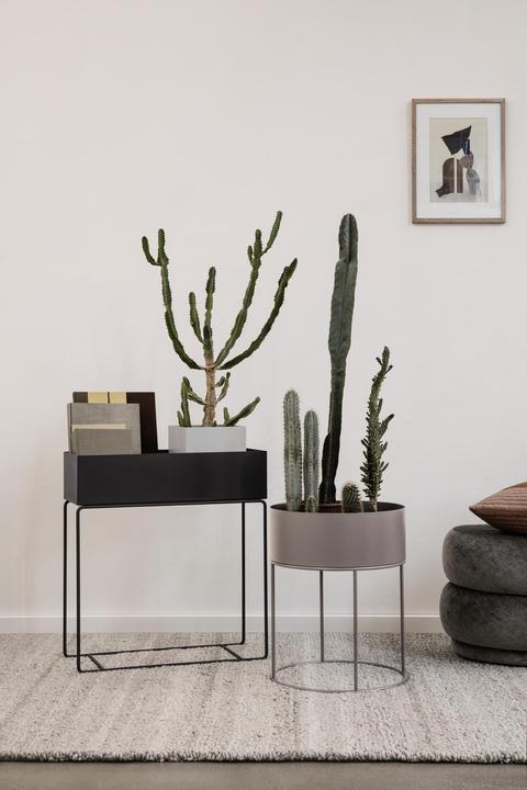 Immagine prodotto Ferm Living Scatola di piante