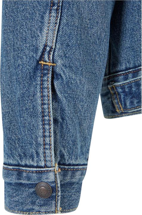 Actual product image Levis Type 3 Sherpa Trucker denim jacket - 86837 (L, S)