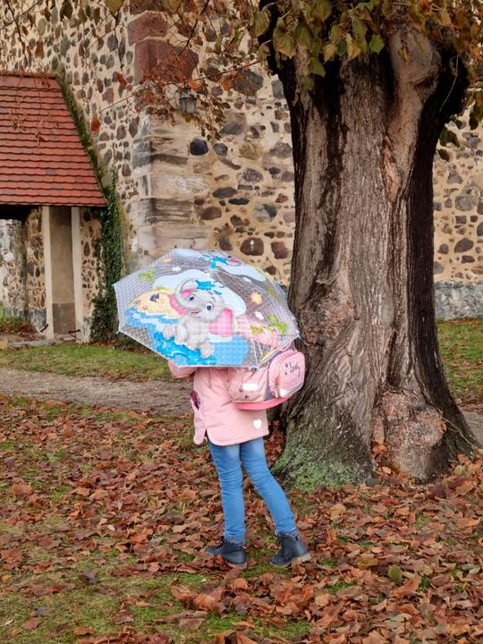 Image du produit Idena Parapluie Éléphant Ø 83 x 66cm