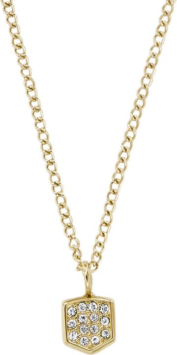 Actual product image Fossil Heritage Necklace (Shield, Stainless steel)