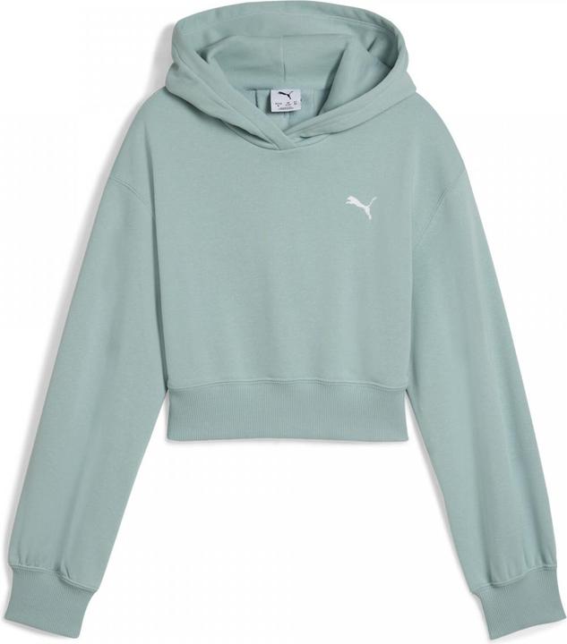 Actual product image Puma WARDROBE ESS Short Length Hoodie TR G (152)