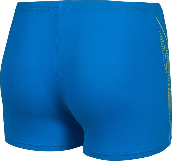 Image du produit Arena B Reflecting Swim Short (128)