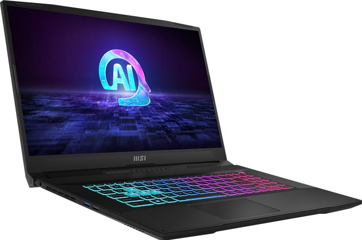 Image du produit MSI Katana A17 AI (17.30", 1000 Go, 16 Go, CH, AMD Ryzen 9 8945HS)