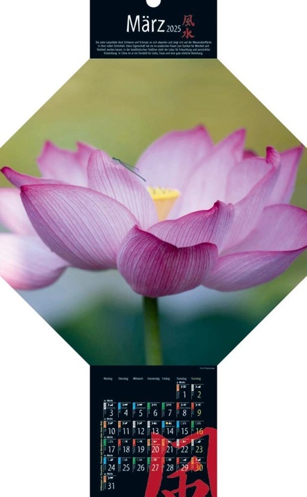 Produktbild Feng-Shui-Kalender 2025 (Harter Einband, Deutsch)
