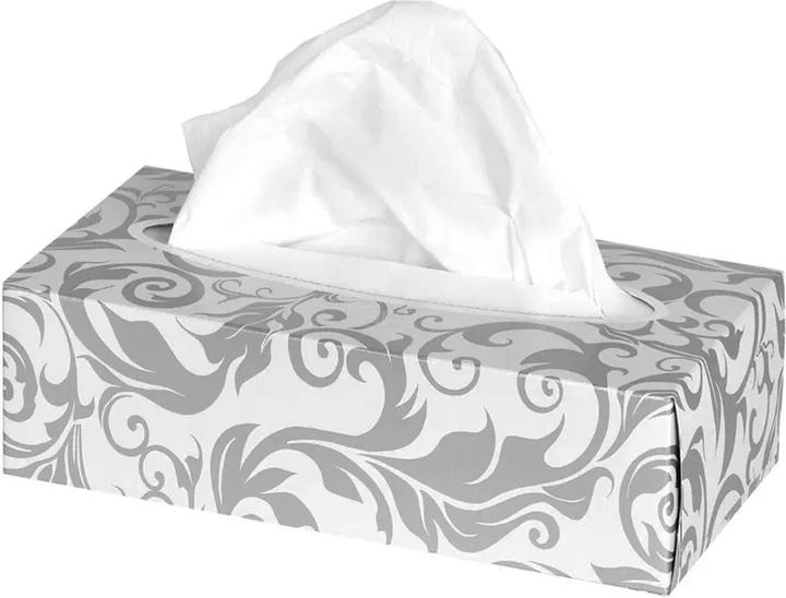 Actual product image Wepa Cosmetic tissues soft 2-ply 30x 150 box