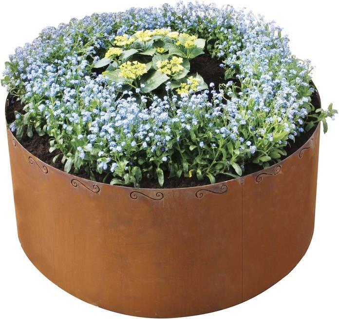 Bellissa Corten