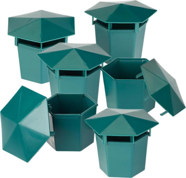 Actual product image Exbuster Premium organic snail traps without chemicals and poison, set of 24