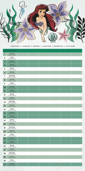 Produktbild Pyramid Disney Princess Calendar Family Planner w/Stickers 2026 (30 x 60 cm)