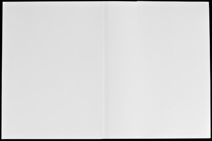 Daiber 1x100 cartelle foto tessera con scomparto CD-Rom fino a 10x15 (10 x 15 cm, 100 x)