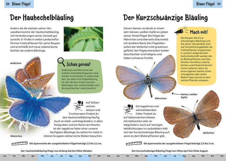 Produktbild Kosmos Welcher Schmetterling ist das? Kindernaturführer (Deutsch, Jens Poschadel, 2023)
