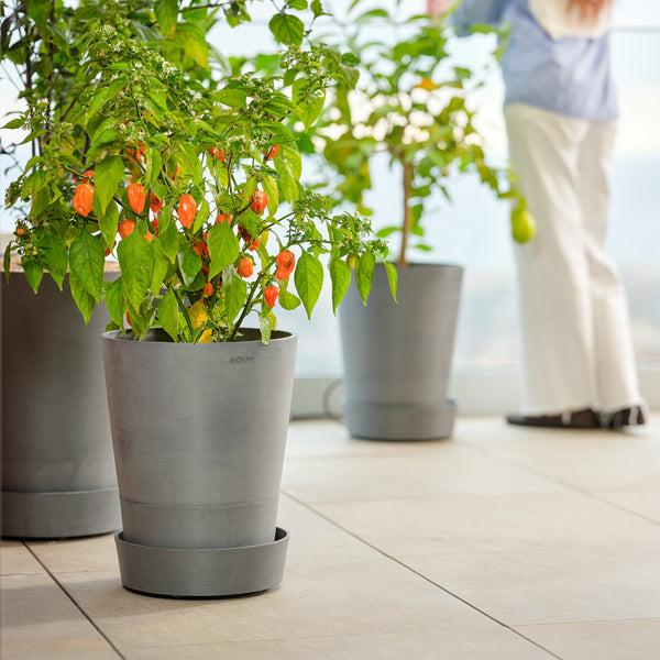 Produktbild Boum Topf 30L Pro (4 cm)