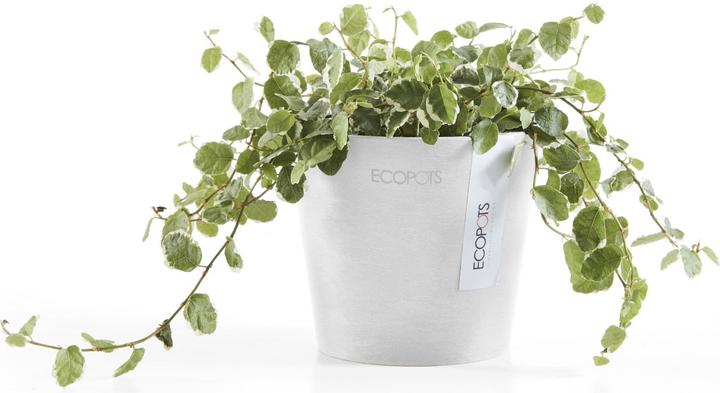 Produktbild Ecopots Amsterdam Mini (10.50 x 10.50 x 9.20 cm)