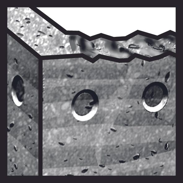 Actual product image Bosch Professional SDS-max-7 (37 mm)