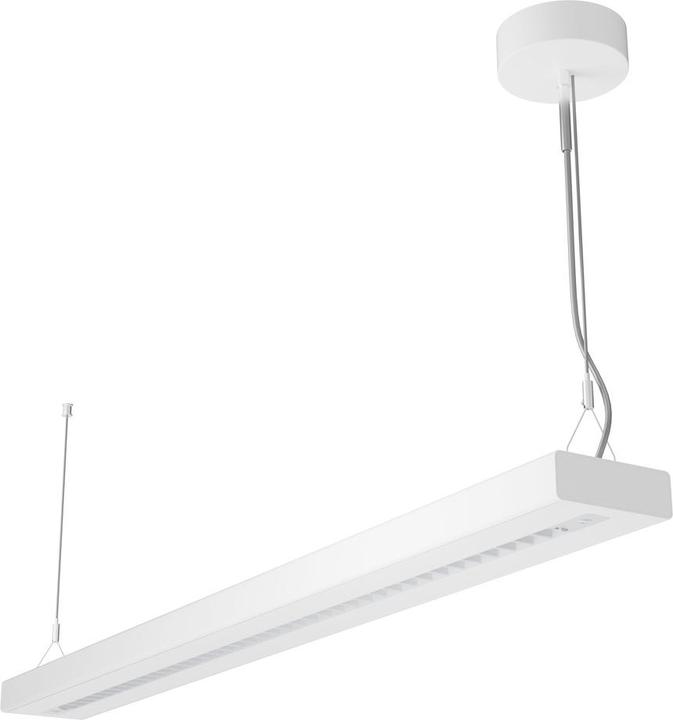 Daylight, White