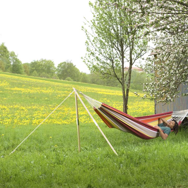 Actual product image Amazonas Madera (100 kg)