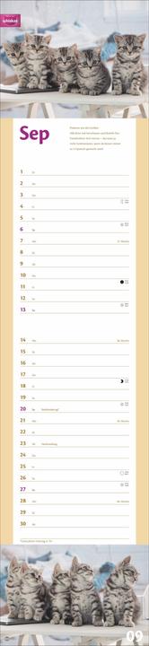 Produktbild Whiskas Katzenleben Kalender 2026 (Harter Einband, Deutsch)