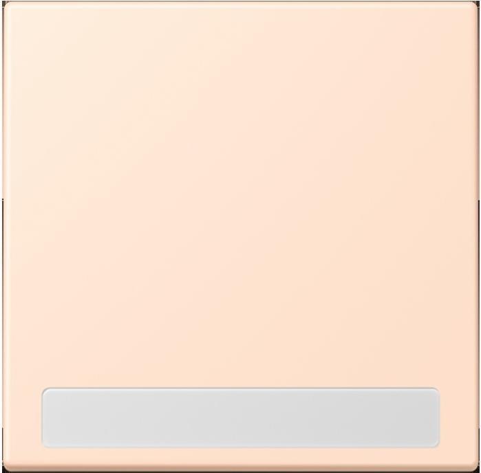 rose pale (32091)