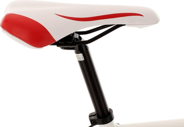 Actual product image KS Cycling euphoria (58 cm)